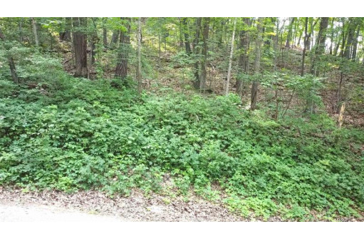 LOT 1 Riley Road, Mauston, WI 53948