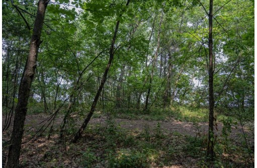 LOT 64 Porter Road, Nekoosa, WI 54457