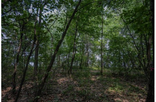 LOT 64 Porter Road, Nekoosa, WI 54457