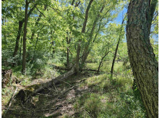 29.5 ACRES Wisconsin River Friendship, WI 53934