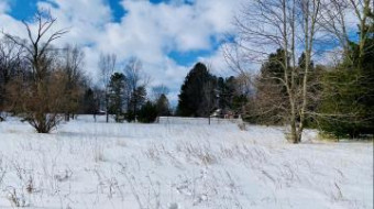 1 ACRE Pleasanton Highway Bear Lake, MI 49614