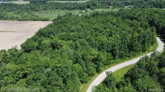 V/L Old Ore Creek Drive Parcel B Fenton, MI 48430