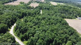 V/L Old Ore Creek Drive Parcel C Fenton, MI 48430