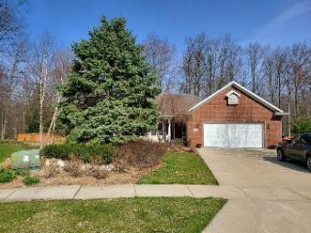 11380 Holly Court Fowler, MI 48835