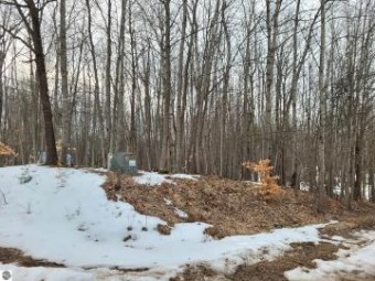 LOT 22 Middle Trail Leroy, MI 49655