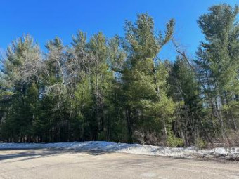 W May Lake Road 4.2 AC Frederic, MI 49733