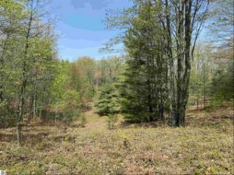 14 ACRES S 47 3/4 Road FOREST DRIVE Cadillac, MI 49601