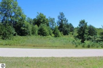 LOT 136 Lamplighter Lane Cadillac, MI 49601