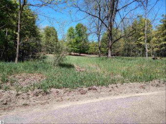 40 ACRES E Darga Road Cedar, MI 49621