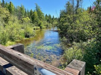 May Lake Road 28.8 ACRES Frederic, MI 49733