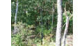 L3 Golf View Drive Mecan, WI 53949 by Cotter Realty Llc $24,500