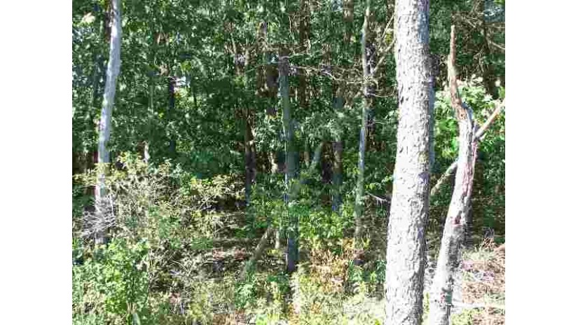 L3 Golf View Drive Mecan, WI 53949 by Cotter Realty Llc $24,500