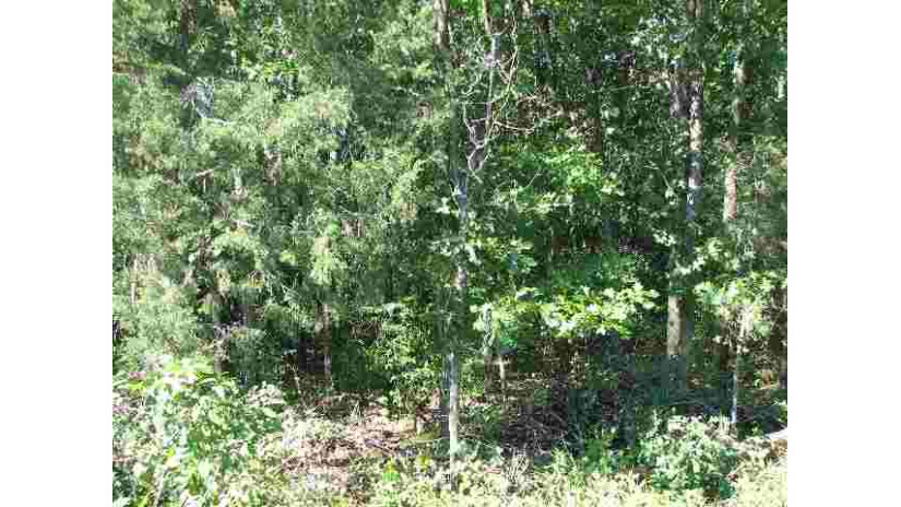 L3 Golf View Drive Mecan, WI 53949 by Cotter Realty Llc $24,500