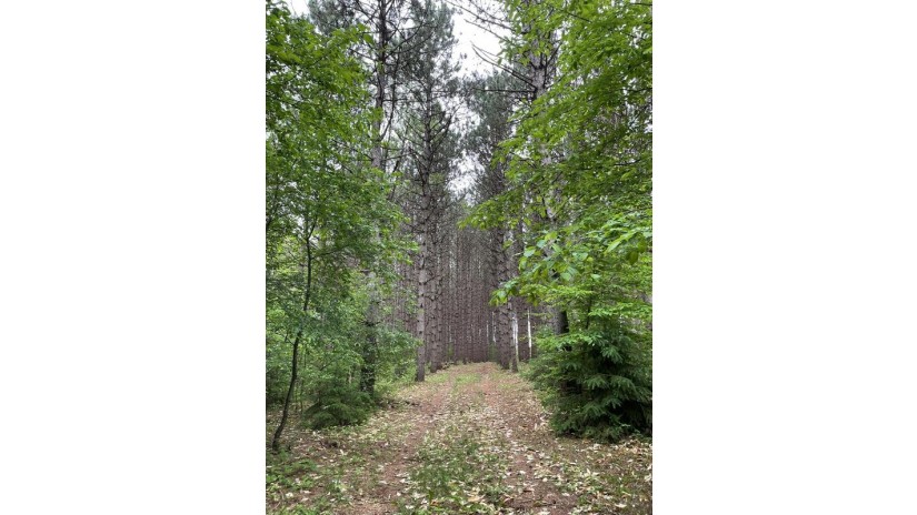 N7593 County Road G - Red Springs, WI 54128 by Wabi Realty LLC $150,000