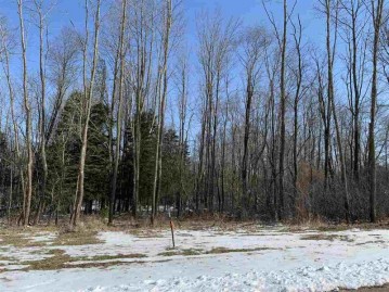 Lot 6 Nicholas Avenue, Wittenberg, WI 54499