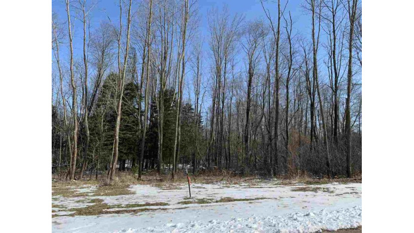 Lot 6 Nicholas Avenue Wittenberg, WI 54499 by Smart Move Realty $19,900