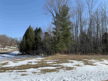 Lot 7 Nicholas Avenue, Wittenberg, WI 54499