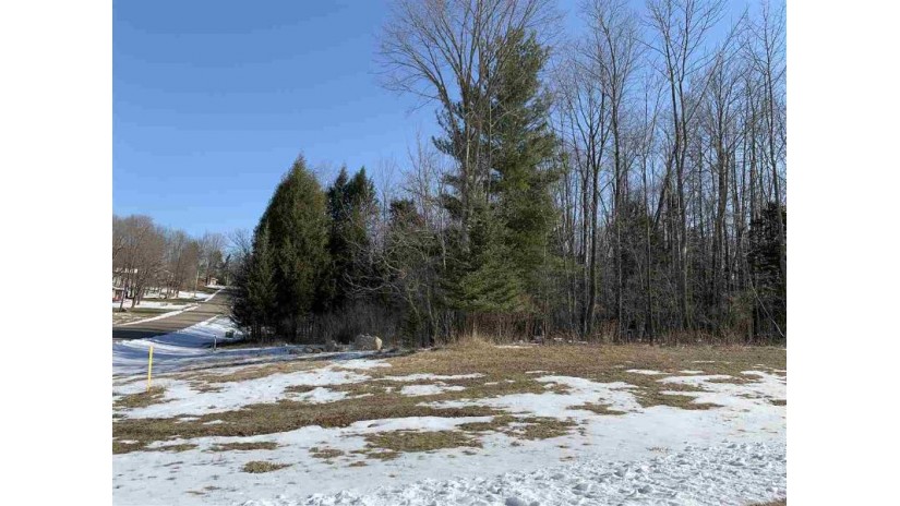 Lot 7 Nicholas Avenue Wittenberg, WI 54499 by Smart Move Realty $19,900