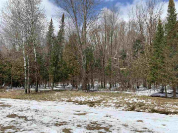 Lot 20 Keegan Court, Wittenberg, WI 54499