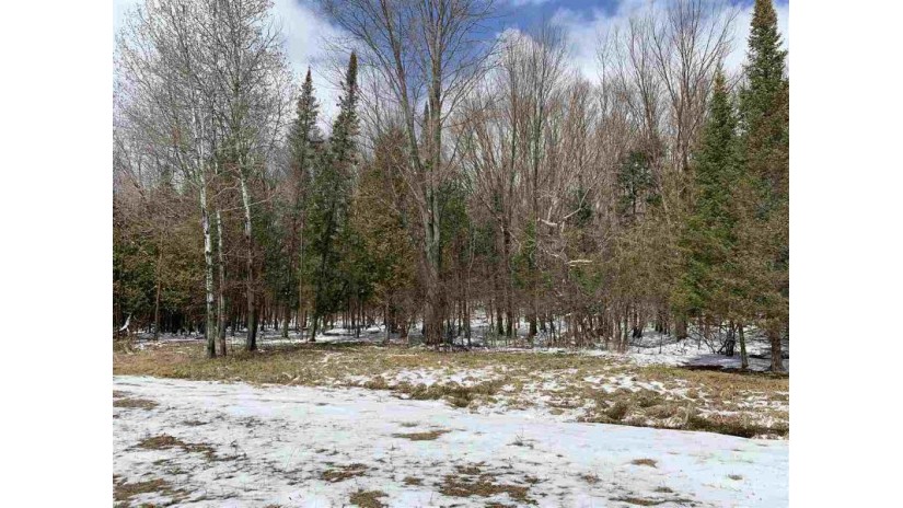 Lot 20 Keegan Court Wittenberg, WI 54499 by Smart Move Realty $19,900