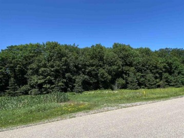 Lot 11 Marshfield Road, Marshfield, WI 54449