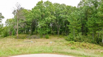 6862 Bayshore Trail Lot 10 Bayshore Trai, Wisconsin Rapids, WI 54494