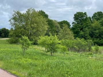 Lot 17 Silver Hill Lane, Wausau, WI 54401