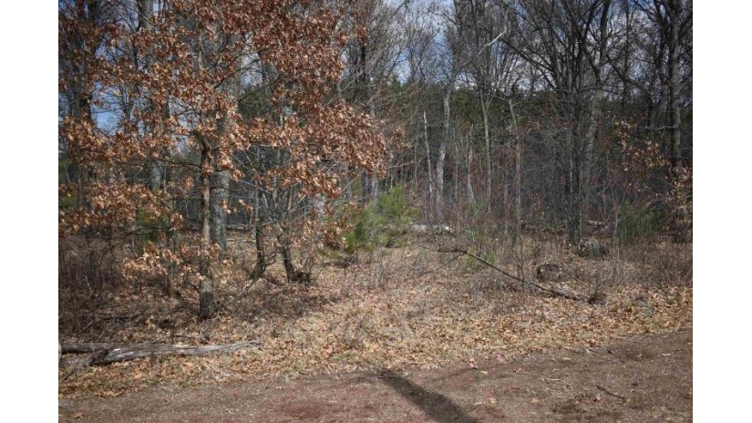 Lot 25 Southview Drive Necedah, WI 54646 by Re/Max Central - Phone: 715-340-0641 $186,900
