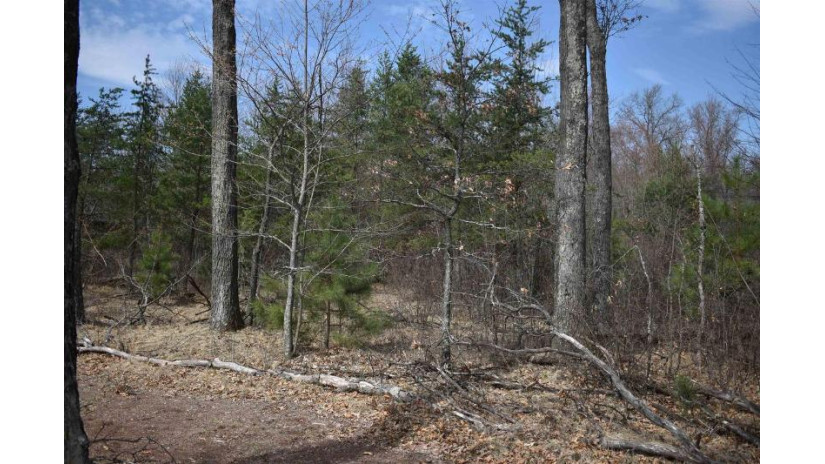 Lot 25 Southview Drive Necedah, WI 54646 by Re/Max Central - Phone: 715-340-0641 $186,900