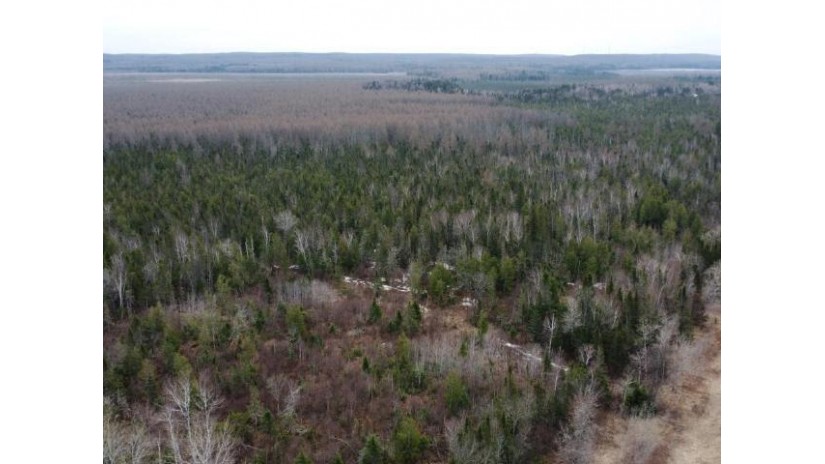 270 Acres State Highway 32 Lincoln, WI 53952 by Integrity Realtors Llc - Office: 715-627-4181 $199,000