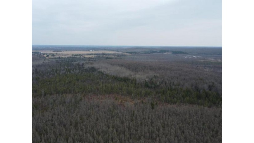 270 Acres State Highway 32 Lincoln, WI 53952 by Integrity Realtors Llc - Office: 715-627-4181 $199,000