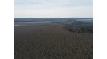 270 Acres State Highway 32 Lincoln, WI 53952 by Integrity Realtors Llc - Office: 715-627-4181 $199,000