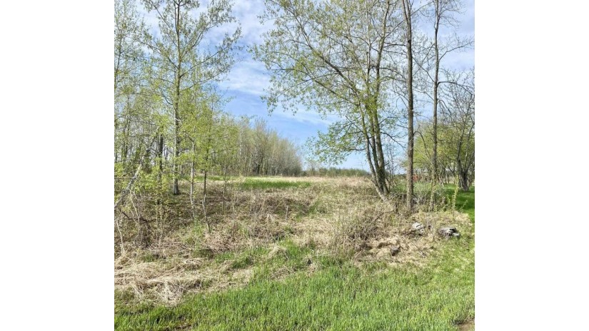 51 Acres Ringle Avenue Ringle, WI 54471 by Amaximmo Llc - Phone: 715-841-0015 $750,000