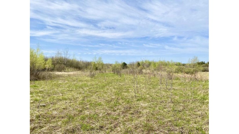 51 Acres Ringle Avenue Ringle, WI 54471 by Amaximmo Llc - Phone: 715-841-0015 $750,000