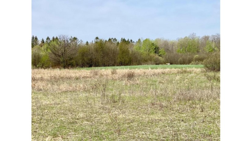 51 Acres Ringle Avenue Ringle, WI 54471 by Amaximmo Llc - Phone: 715-841-0015 $750,000