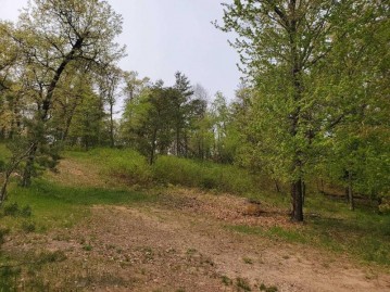 1181 Brown Bear Trail, Nekoosa, WI 54457