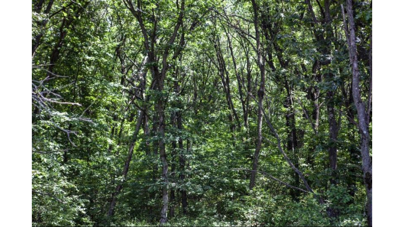 80 Acres County Road V Deerfield, WI 54943 by Nexthome Priority $410,000