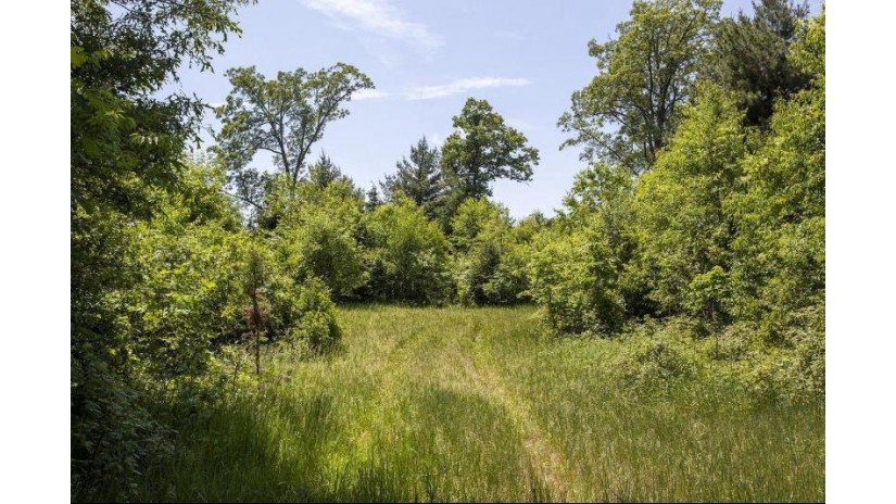 80 Acres County Road V Deerfield, WI 54943 by Nexthome Priority $410,000