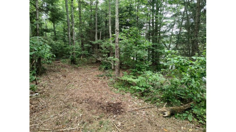 Lot 3 Misty River Lane Rhinelander, WI 54501 by Re/Max Property Pros - Phone: 715-612-4206 $59,900