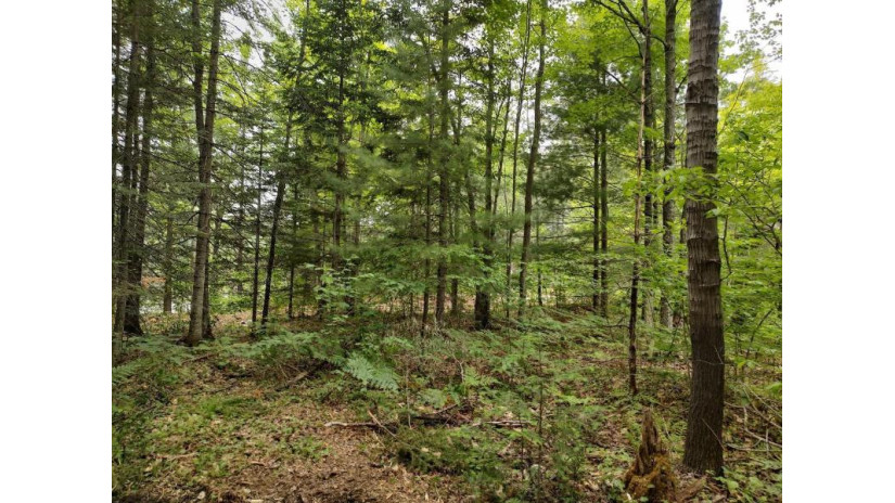 Lot 3 Misty River Lane Rhinelander, WI 54501 by Re/Max Property Pros - Phone: 715-612-4206 $59,900