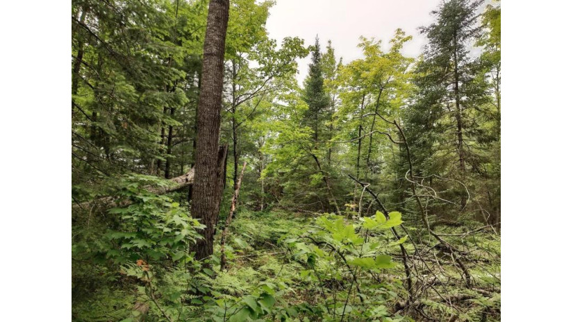 Lot 3 Misty River Lane Rhinelander, WI 54501 by Re/Max Property Pros - Phone: 715-612-4206 $59,900