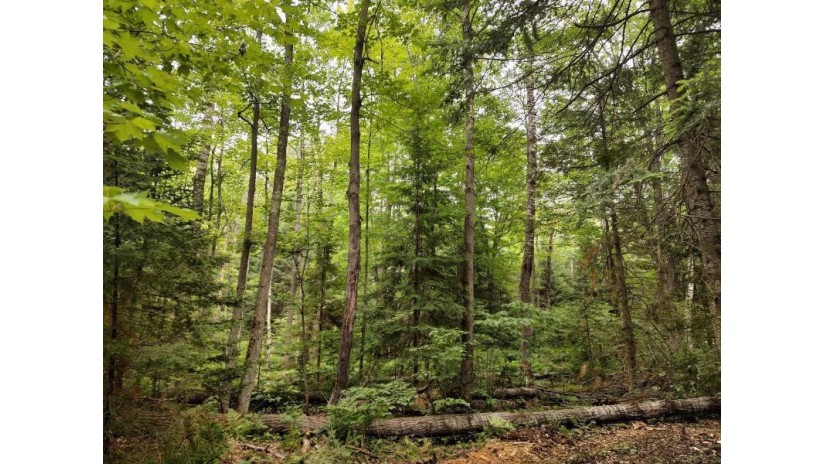 Lot 3 Misty River Lane Rhinelander, WI 54501 by Re/Max Property Pros - Phone: 715-612-4206 $59,900