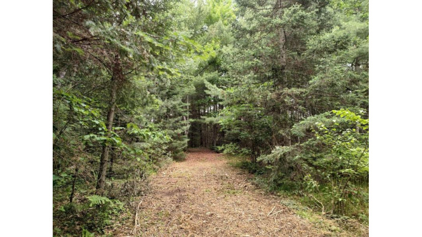 Lot 3 Misty River Lane Rhinelander, WI 54501 by Re/Max Property Pros - Phone: 715-612-4206 $59,900