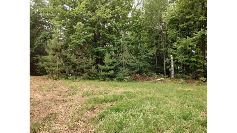 Lot 3 Misty River Lane Rhinelander, WI 54501 by Re/Max Property Pros - Phone: 715-612-4206 $59,900