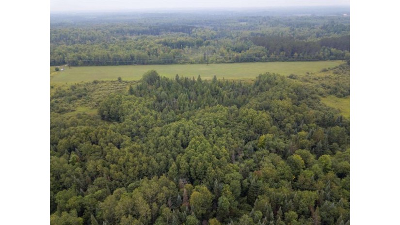 160 Acres North Star Drive Merrill, WI 54452 by First Weber - homeinfo@firstweber.com $320,000