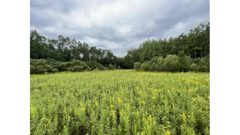 160 Acres North Star Drive Merrill, WI 54452 by First Weber - homeinfo@firstweber.com $320,000