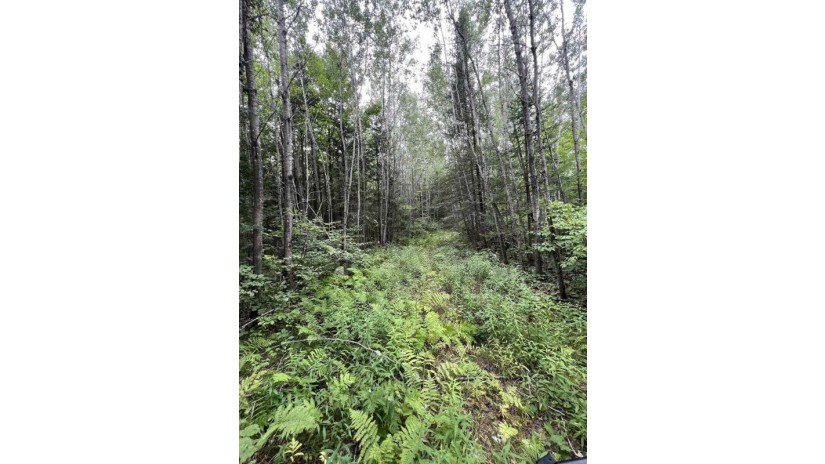 160 Acres North Star Drive Merrill, WI 54452 by First Weber - homeinfo@firstweber.com $320,000