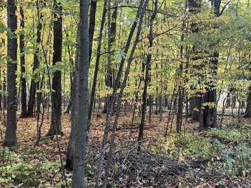 Lot 9 County Road V, Marshfield, WI 54449