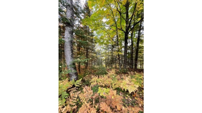 12.8 AC State Line Road Presque Isle, WI 54557 by Absolute Realtors - Phone: 715-610-2393 $59,900