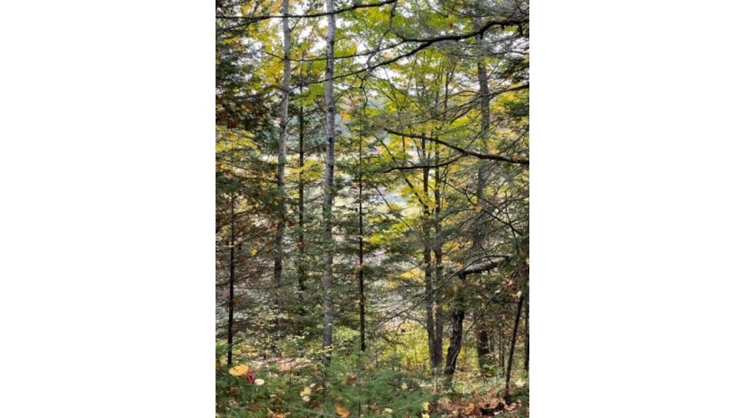 12.8 AC State Line Road Presque Isle, WI 54557 by Absolute Realtors - Phone: 715-610-2393 $59,900